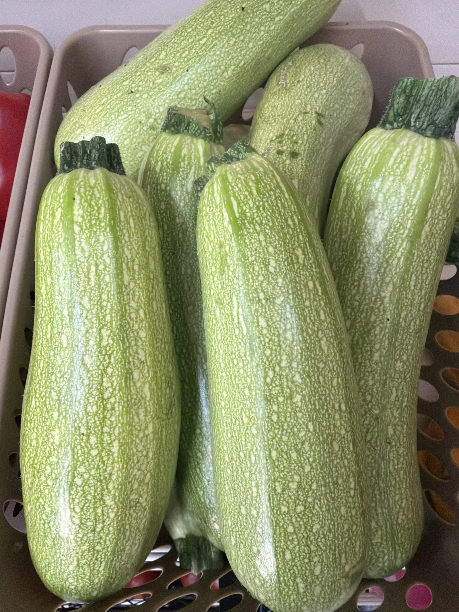 Кабачок